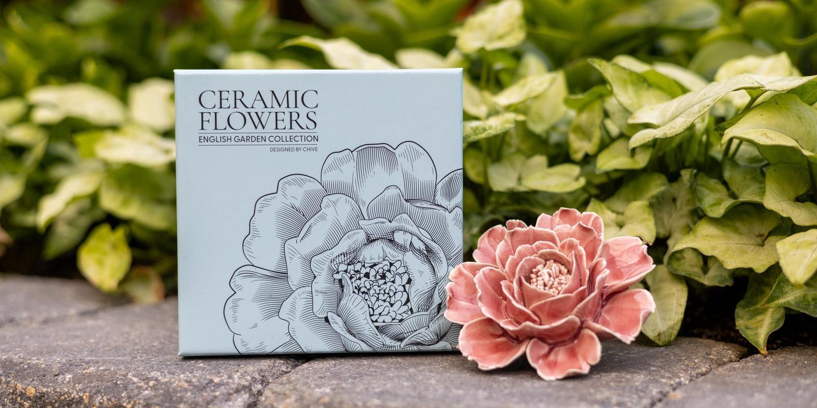 IMG_0044.jpg (230 KB)